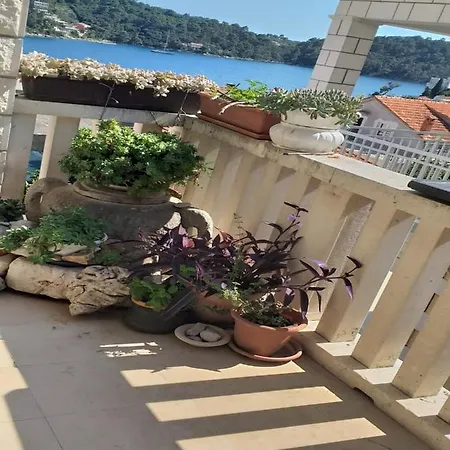 Tina 公寓 Smokvica (Korcula)