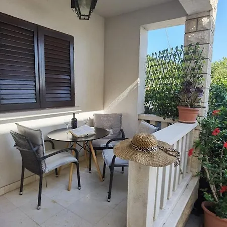 Tina * Смоквица